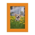 thumbnail image 2 of Modern Real Wood 4x6 inch Picture Frame in Orange, 2 of 8