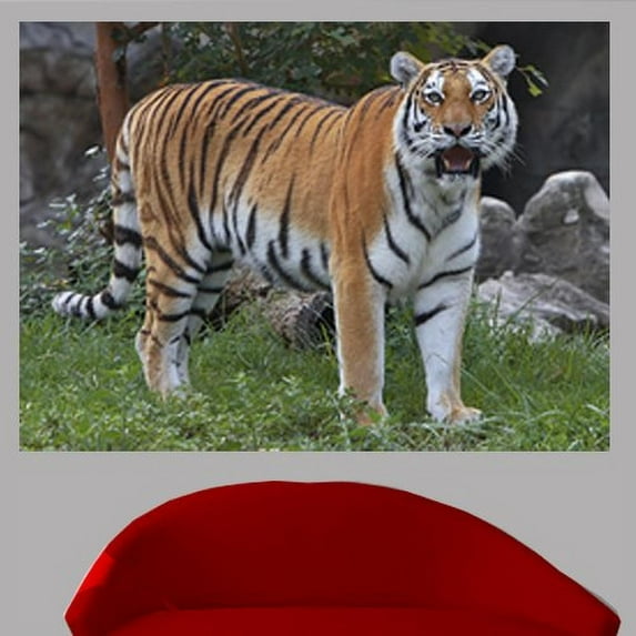 Wallhogs Tiger Wall Decal