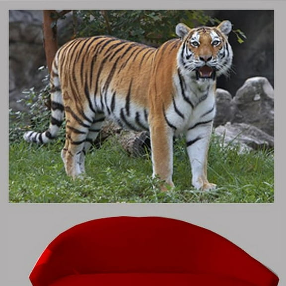 Wallhogs Tiger Wall Decal