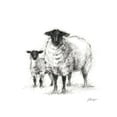 thumbnail image 2 of Harper, Ethan 15x15 Black Ornate Wood Framed with Double Matting Museum Art Print Titled - Charcoal Sheep Study I, 2 of 4
