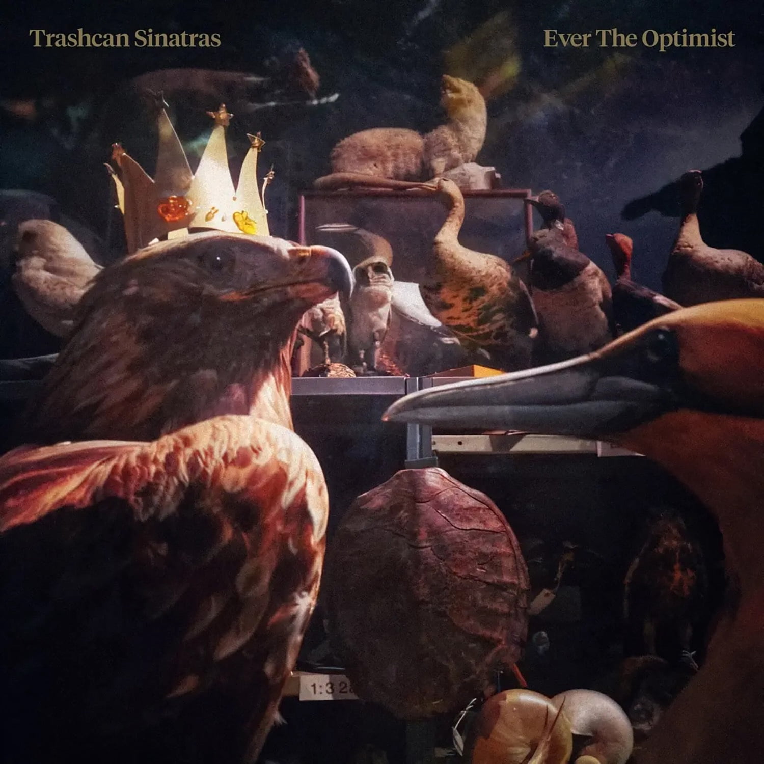 Trashcan Sinatras - Ever the Optimist - Music & Performance - Vinyl