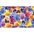 thumbnail image 5 of Rocae The Garden Tricolor Pansy Flower for Durable Canvas Backpack Leisure Large Bag Travel Rucksack Multi-function Backpack Small, 5 of 8