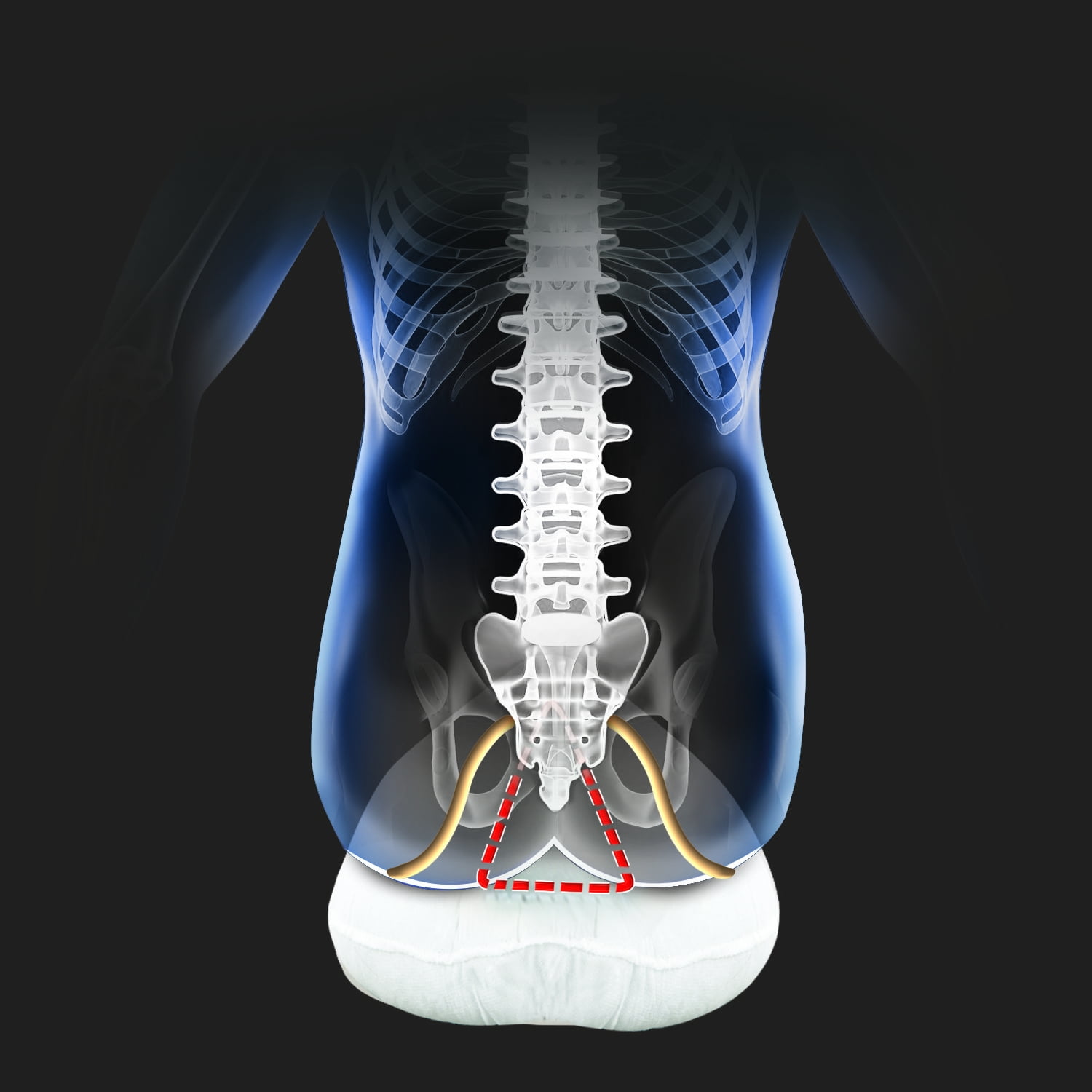 therapeutic sciatica pillow