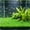 01Green1, variant on Chanana Artificial Grass Dense Grass Mats, Green Aquatic Plants Mats Aquarium Decorations, Artificial Plastic Lawn Mat, Underwater Landscape for Fish Tanks, Reptile Terrarium, 9.8X9.8"