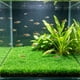 thumbnail image 1 of Tapete de Césped Artificial para Acuario: Sustrato Vegetal Denso y Realista para El Paisajismo de Peceras | Decoración de Césped Acuático Simulado, No Se Desprende, Tapete de Plástico Suave Seguro pa, 1 of 6