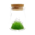 thumbnail image 1 of Planting DIY Constellation Crystal Wishing Bottle Growing Crystal, Children's Birthday Gift, 1 of 3