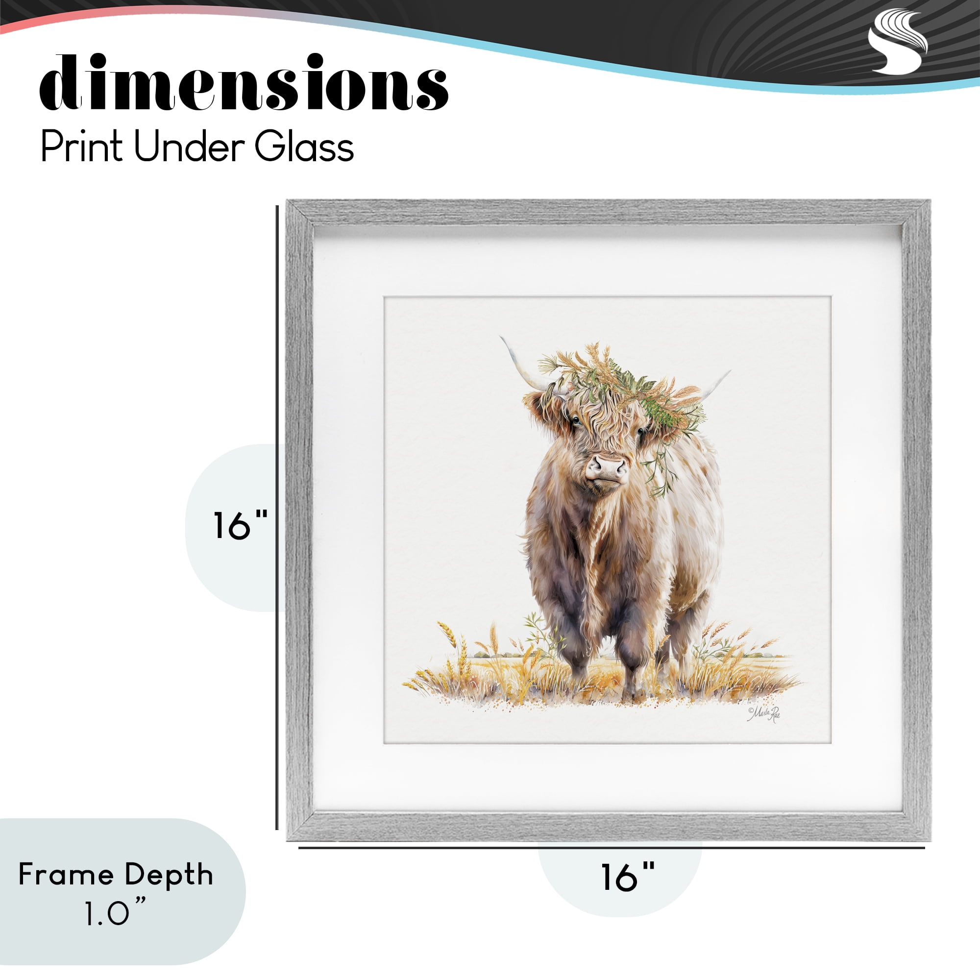 Stupell Industries Ollie the Highland Cattle Gray Framed Print Under Glass, design by Marla Rae
