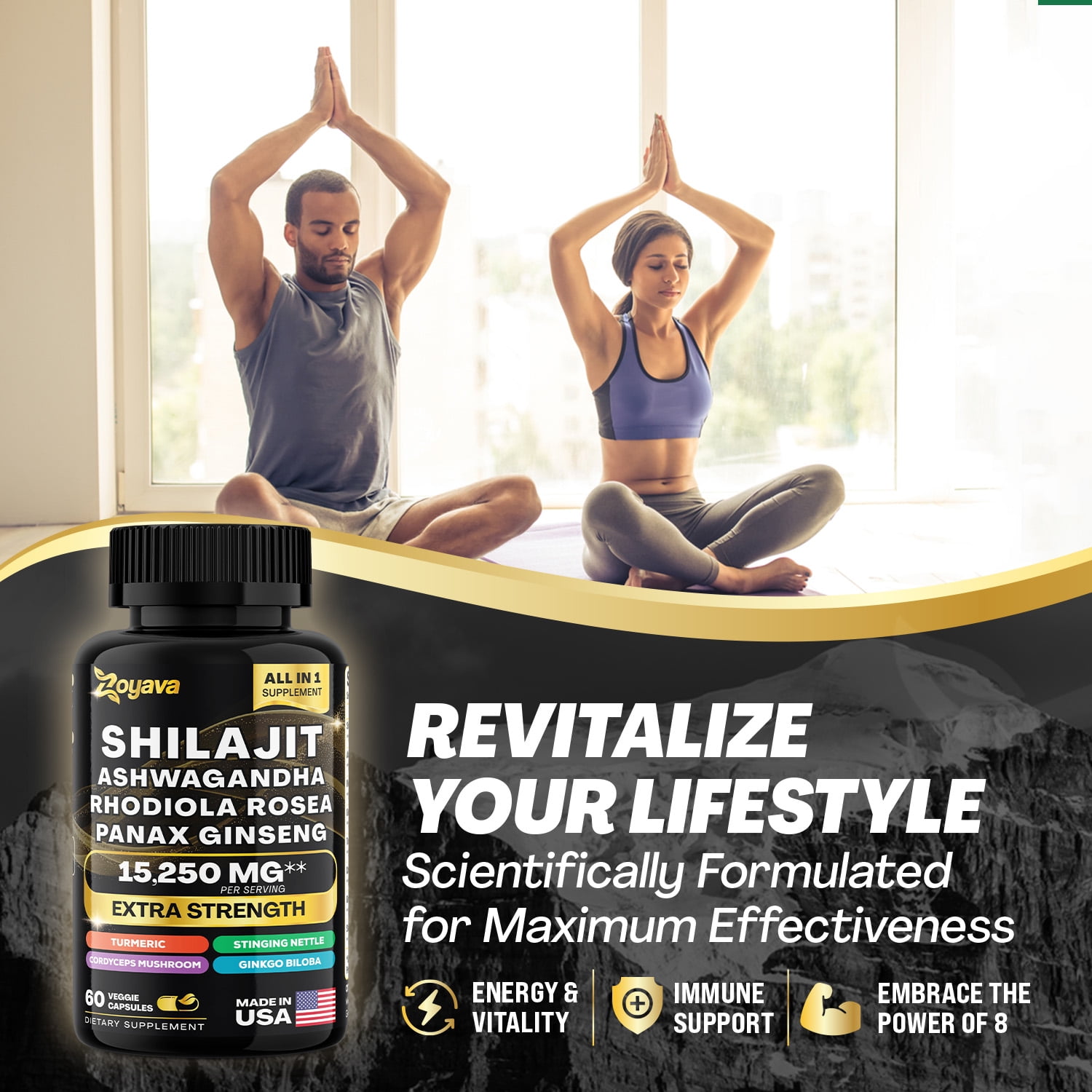 Shilajit 9000 Panax Ginseng 1500MG Ashwagandha 2000MG Rhodiola Rosea 1000MG, Turmeric 500MG, Gingko Biloba 500MG, Stinging Nettle 250MG, Cordyceps Mushroom 500MG (60 Caps)