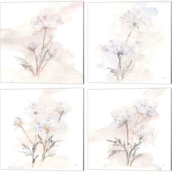 Great Art Now Queen Annes Lace by Chris Paschke 4 Piece Canvas Art Set Each 14"W x 14"H