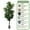 Style 05, variant on Colourtree Fiddle 59" Leaf Fig Tree Artificial - Tall Faux Fiddle Leaf Fig Tree - Fake Fig Plant with Realistic Texture for Indoor Outdoor Modern Home House Office - Pot Style 03