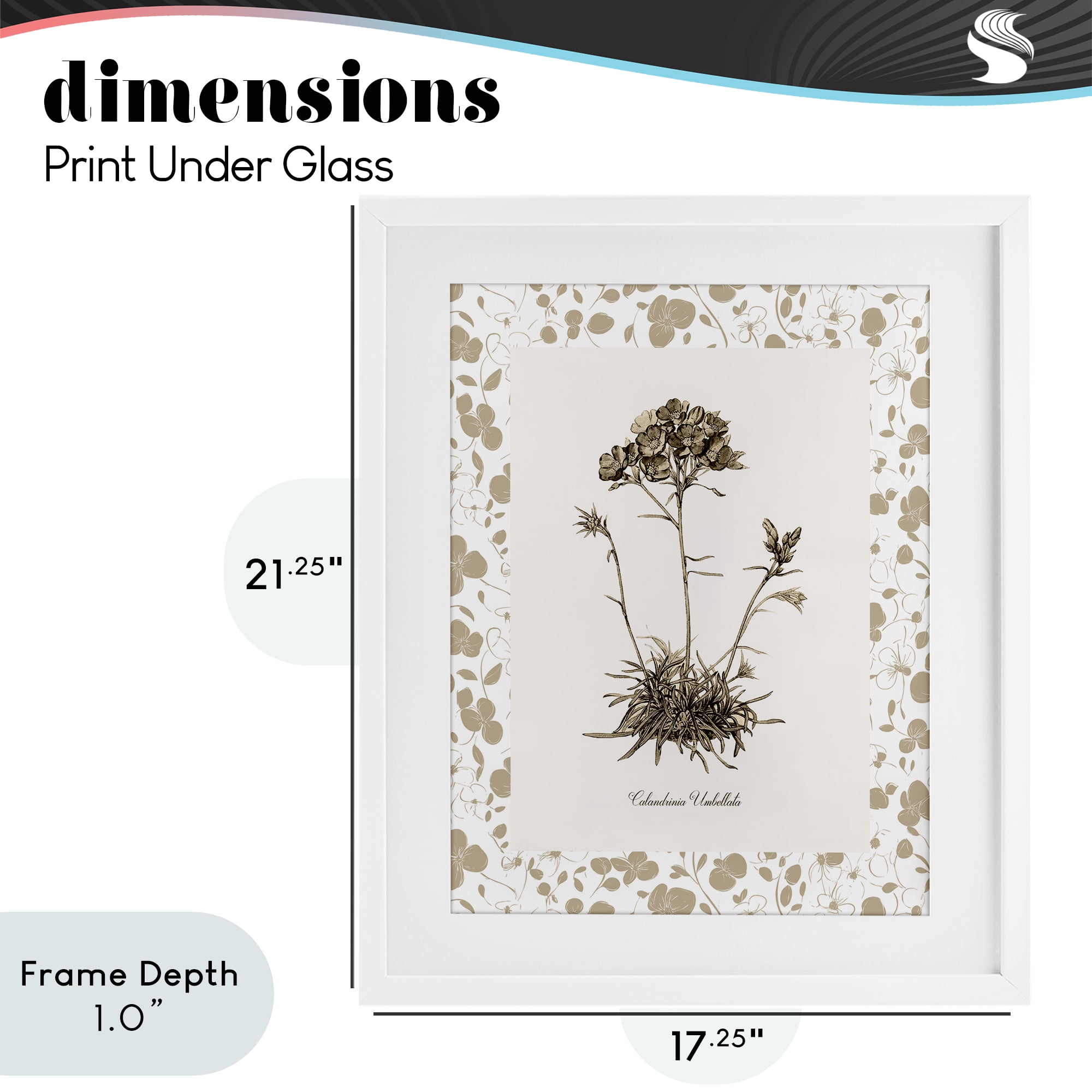 Stupell Industries Neutral Imperial Flower & Herb White Framed Print Under Glass, design by Kelly Donovan