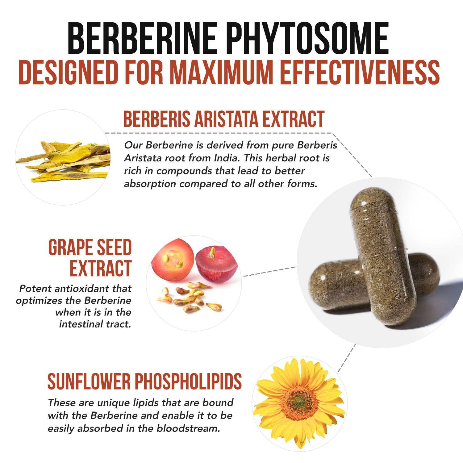 Triquetra Health SoActive Berberine
