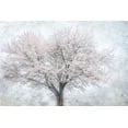 thumbnail image 2 of Weisz, Irene 24x17 White Modern Wood Framed Museum Art Print Titled - A Feel of Spring II, 2 of 4