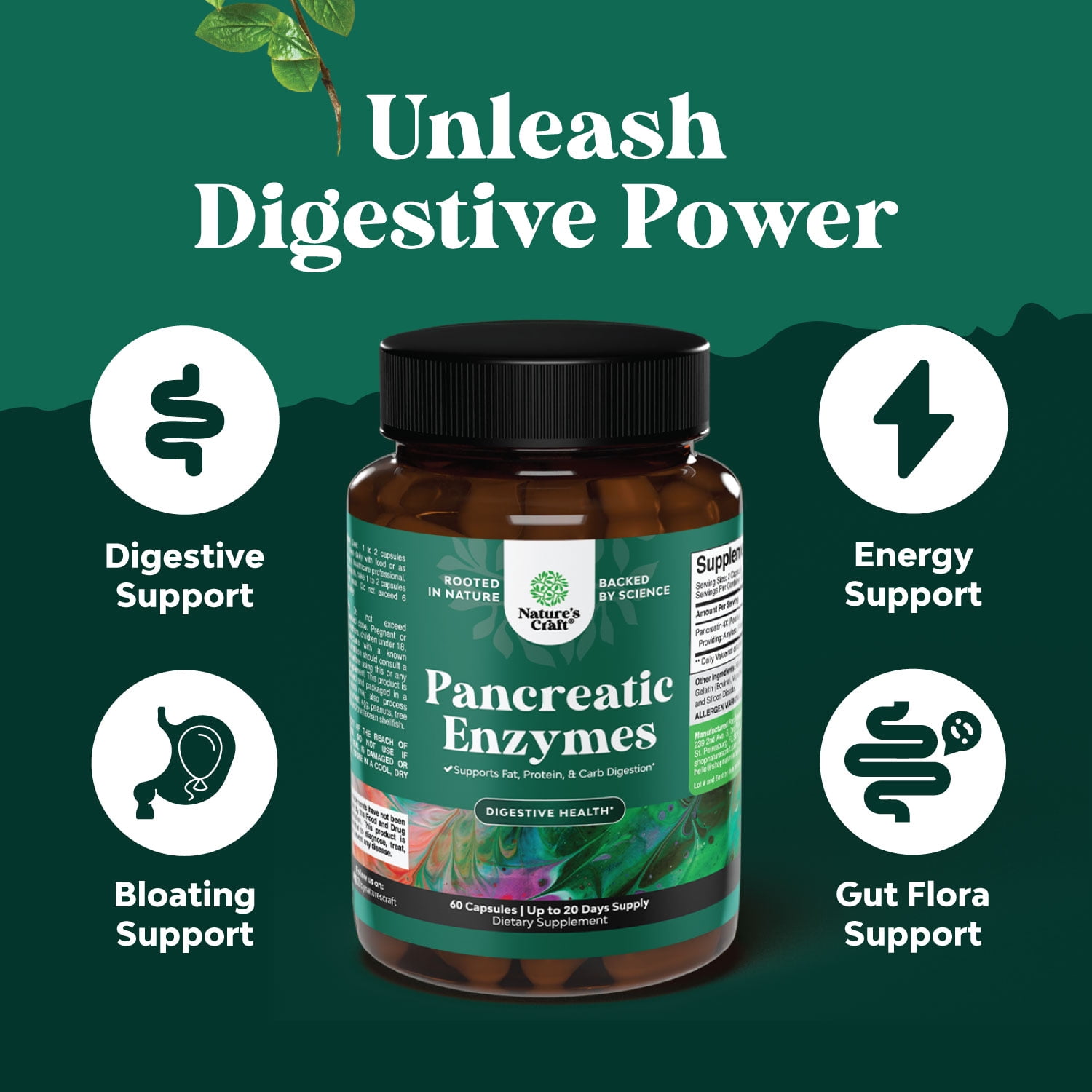 Natures Craft Pancreatic Digestive Enzymes Dietary Supplements for Digestive & Gut Health, 60 Capsules