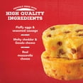 Jimmy Dean Sausage Three Cheese Egg Bites, 4 oz, 2 Count (Frozen