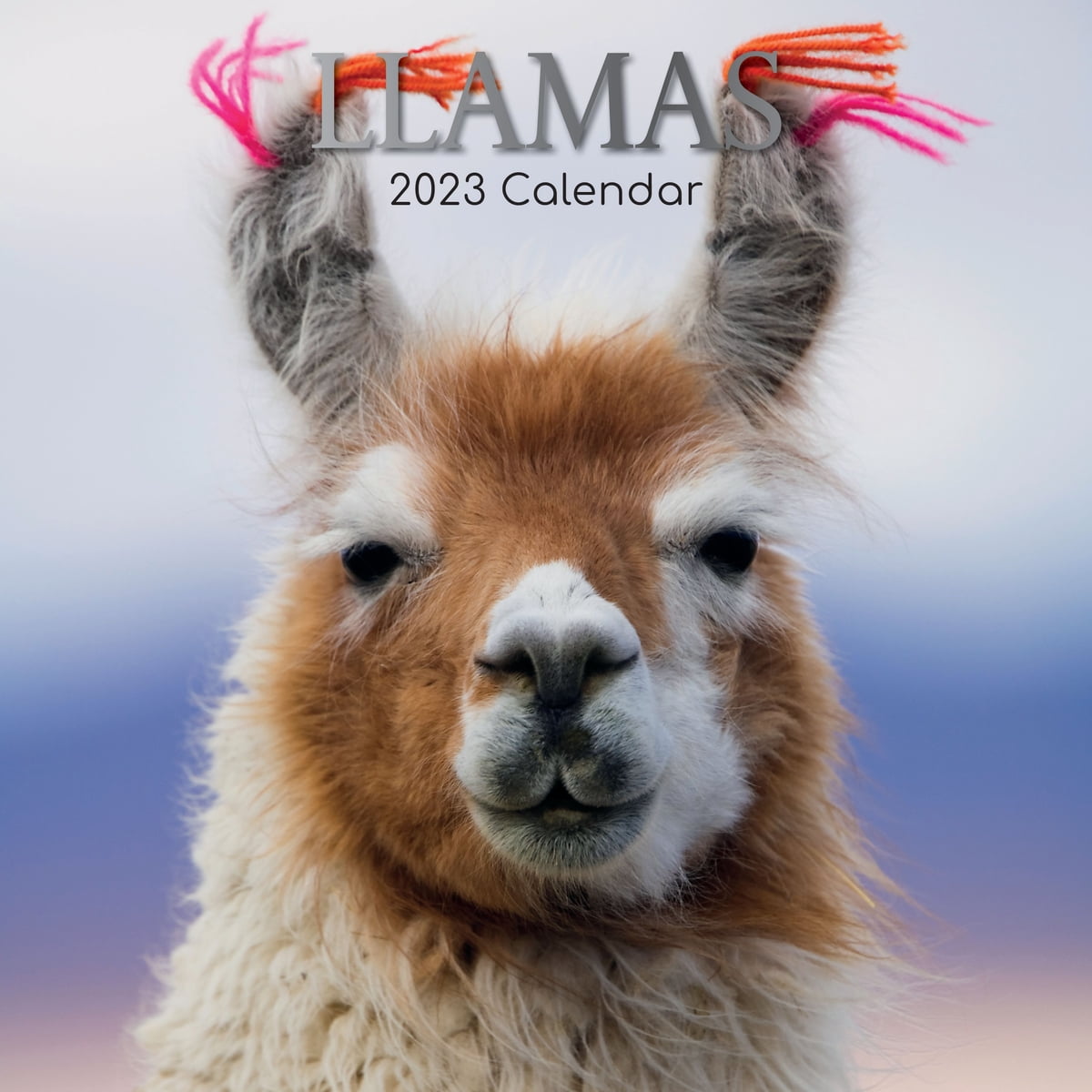 2023 Square Wall Calendar, Llamas, 16Month Animals Theme with 180