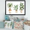 thumbnail image 3 of Designart 'Trio of House Plants Ficus Ponytail and Palm' Traditional Framed Art Print, 3 of 4