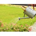 Yourjoy Metal Watering Cans for Outdoor and Indoor Plants, 1 Gallon
