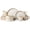 Beige, variant on ALOFMO Stoneware Dinnerware Sets, 12 Pieces Plates and Bowls, Dish Set for 4, Plate Sets for Kitchen,Eggshell White, Microwave & Dishwasher Safe