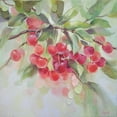 thumbnail image 2 of Zareckaya, Tatiana 12x12 Black Ornate Wood Framed with Double Matting Museum Art Print Titled - Ripe Cherry, 2 of 4