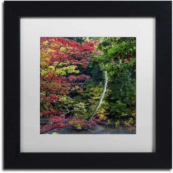 Trademark Fine Art "All the Colors of October in Ohio" Canvas Art by Kurt Shaffer, White Matte, Black Frame