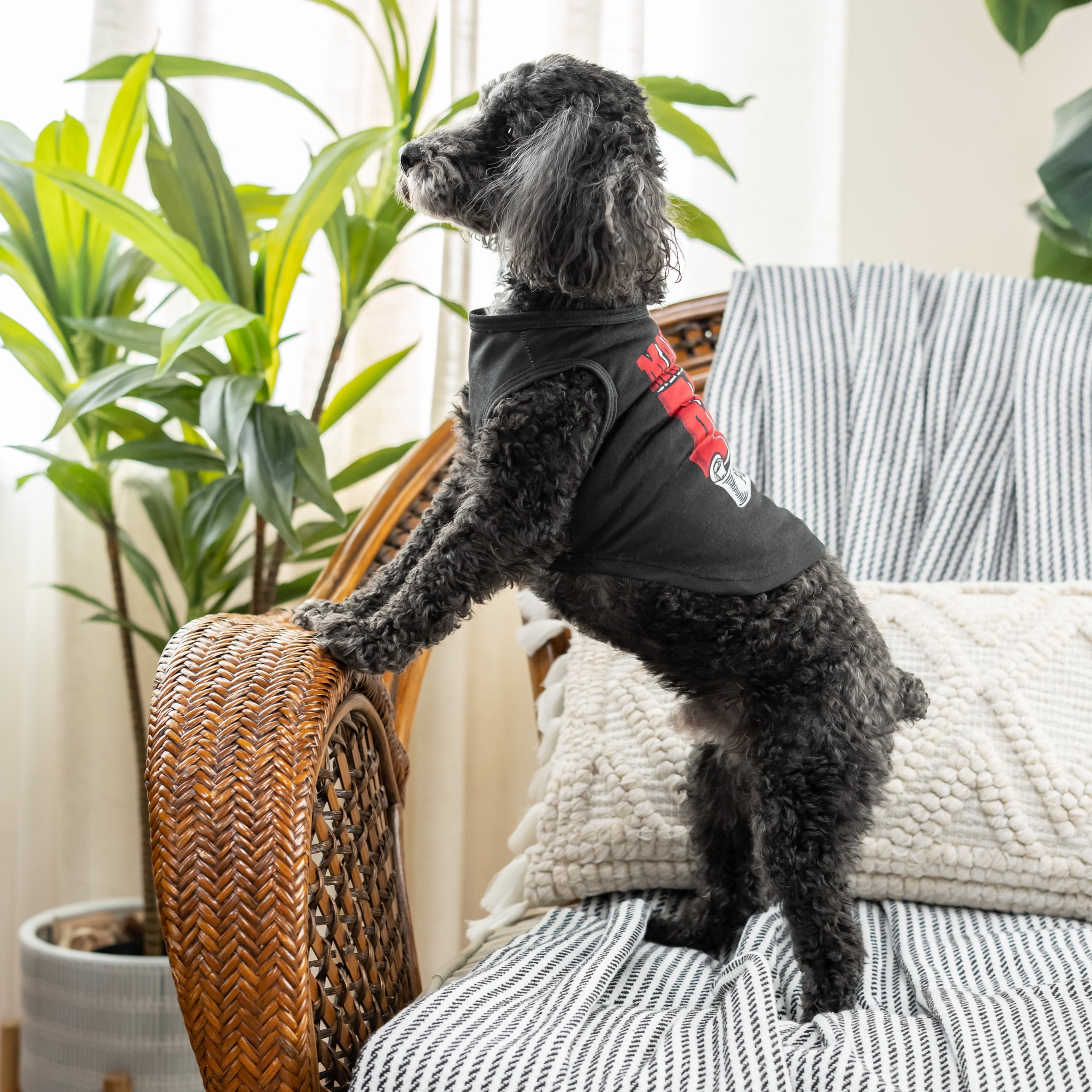Mama's boy top dog shirt