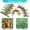 9 Pcs, variant on 7 Pcs Small Animal Chewing Toys Timothy Hay Grass Cake for Rabbits Guinea Pigs Chinchillas