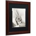 thumbnail image 2 of Trademark Fine Art "Florison 22" Canvas Art by Alan Blaustein, Black Matte, Wood Frame, 2 of 4