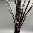 thumbnail image 2 of Árbol de abedul iluminado Fairy Spirit 24 LED lámpara de mesa con luz de árbol (negro), 2 of 6