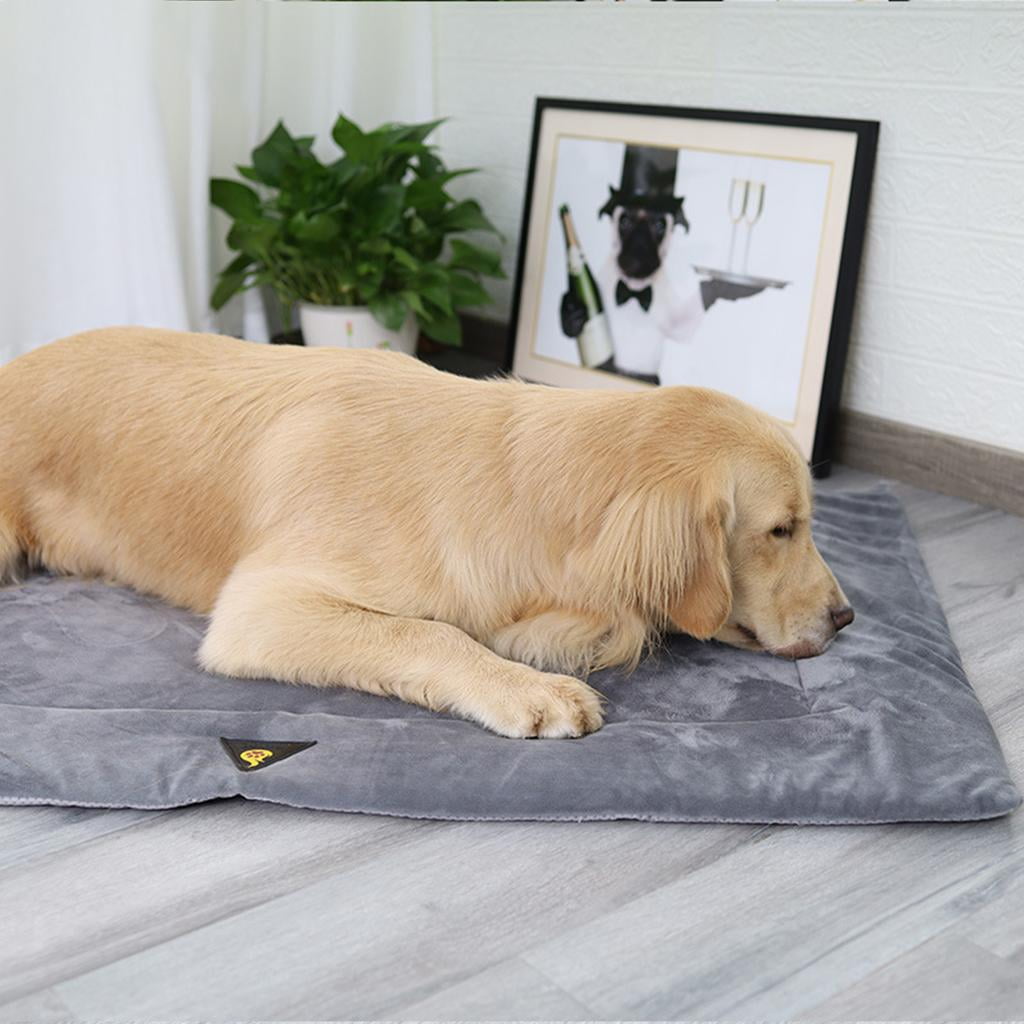 Bvdfgk Comfortable Dog Bed Mat Blanket Pad Pet Crate Cushion Cat Puppy Sleeping Pad Non Gray XL