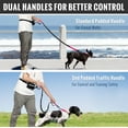 Plutus Pet Hands Free Dog Leash, Soft Padded Dual Handle and Reflective