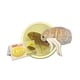 thumbnail image 1 of MICROBIOS GIGANTES Pulga (ctenocephalides Felis) Peluche GIANT MICROBES GMD0270, 1 of 2