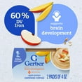 thumbnail image 4 of (8 pack) Gerber 2nd Foods Baby Food, Apple Mango with Rice Cereal, 4 oz Tubs (2 Pack), 4 of 15