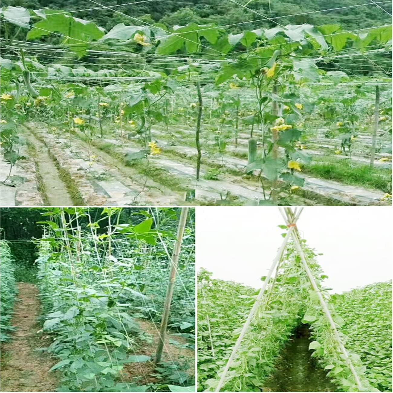 White Trellis Netting 4x100 ft Heavy Duty Garden Netting Polypropylene Plant Support Net for Climbing Vegetables Fruits Flowers