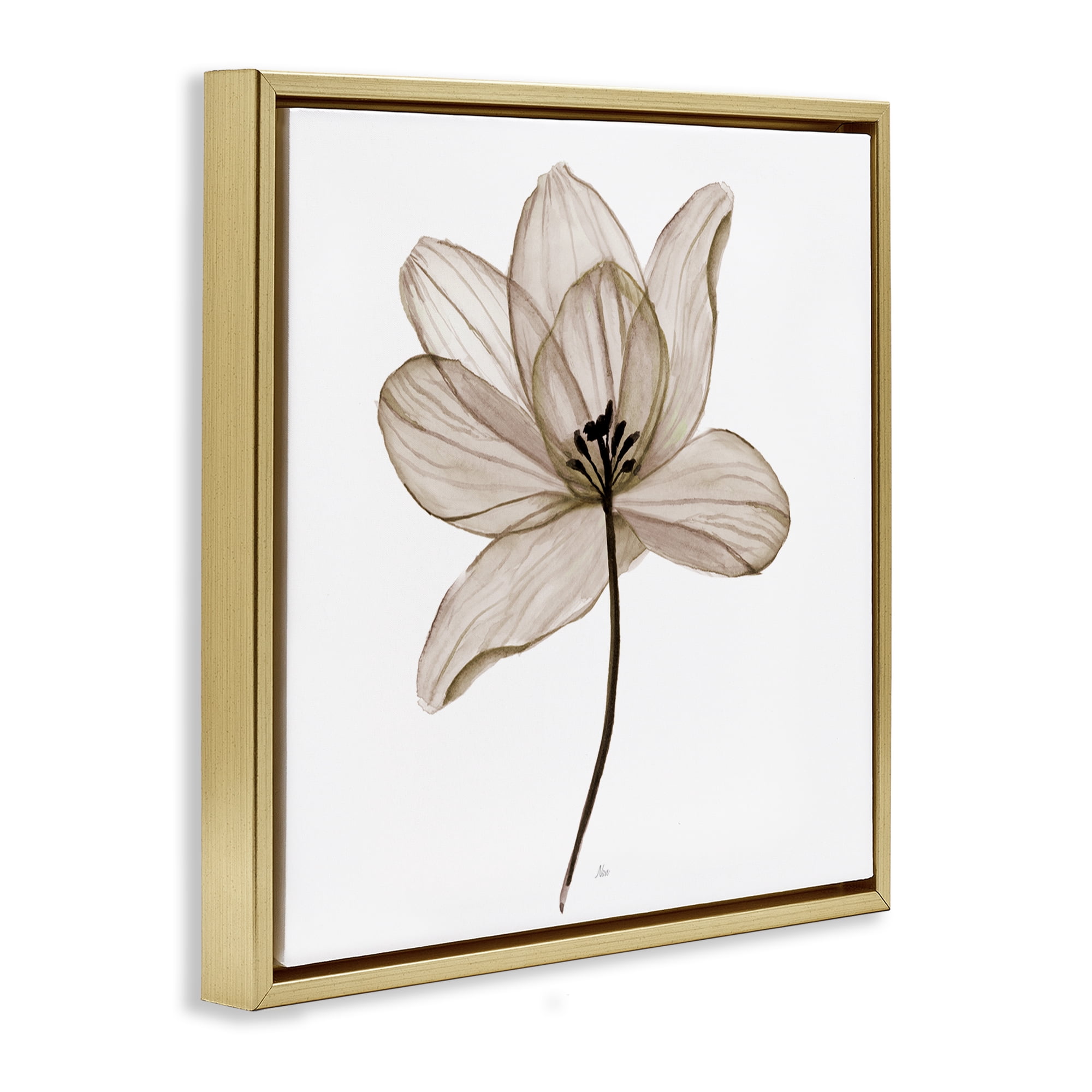 Stupell Industries Beige Opaque Flower Plants & Flowers Painting Gold Floater Framed Canvas Art Print Wall Art, 18 x 18