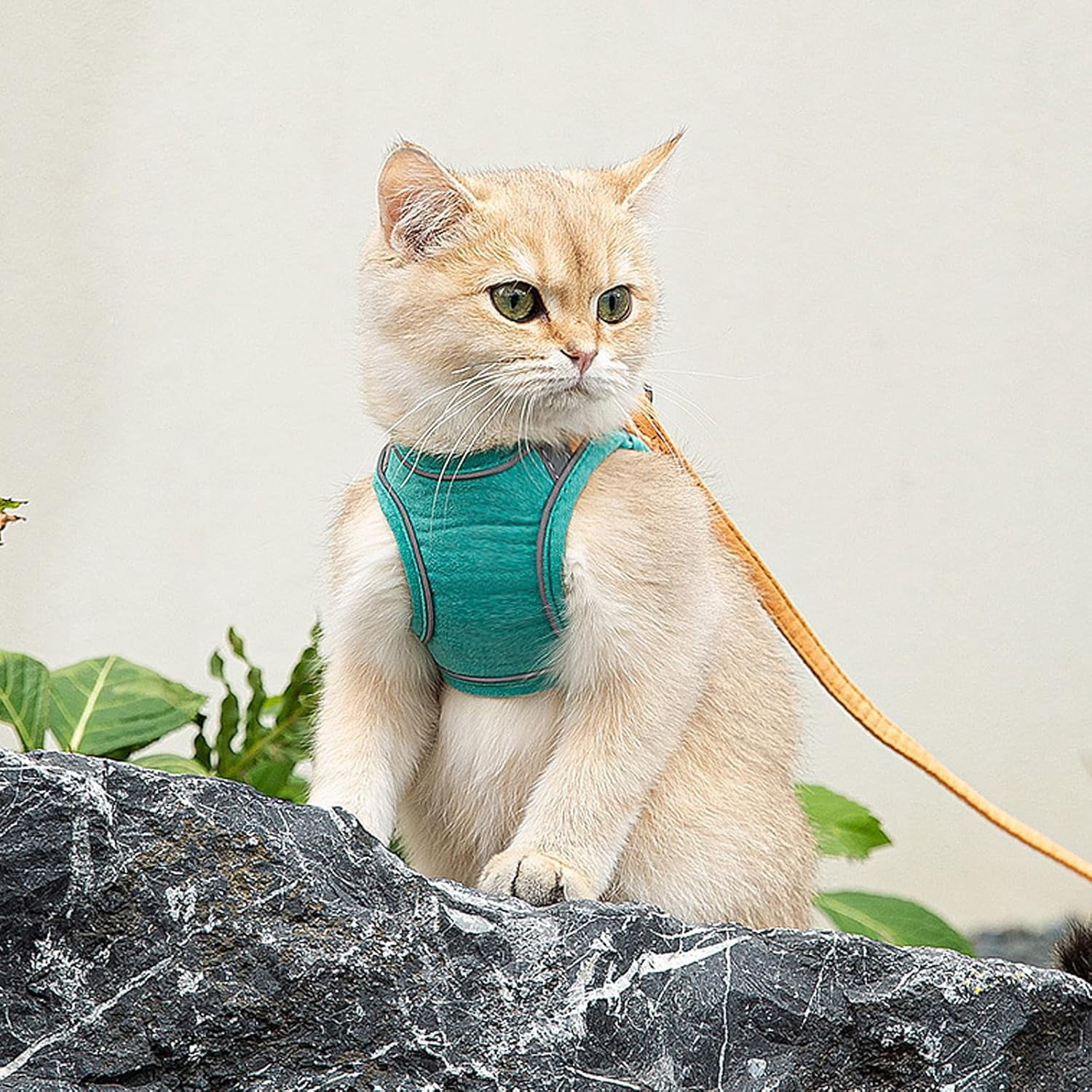 Escape-Proof Vest Style Cat Harness and Leash，Equipped with Reflective Strips and Double Buckles, It Is Breathable and Soft—suitable for Both Indoor and Outdoor Use.