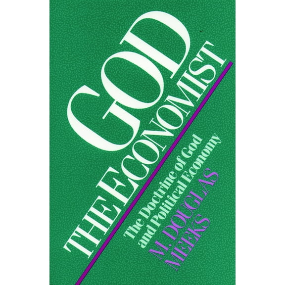 Searching for a New Framework: God the Economist (Paperback)