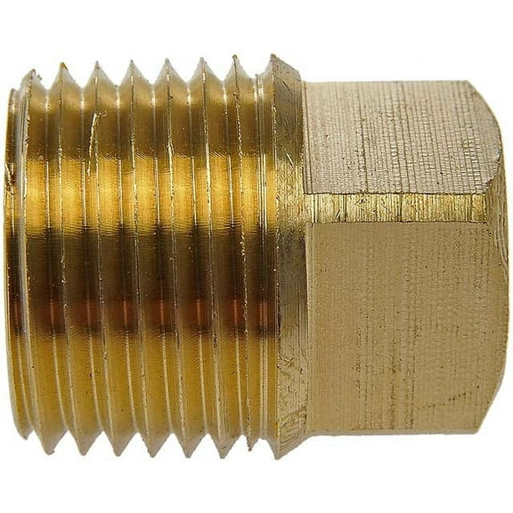 Dorman 785-073 Pipe Plug