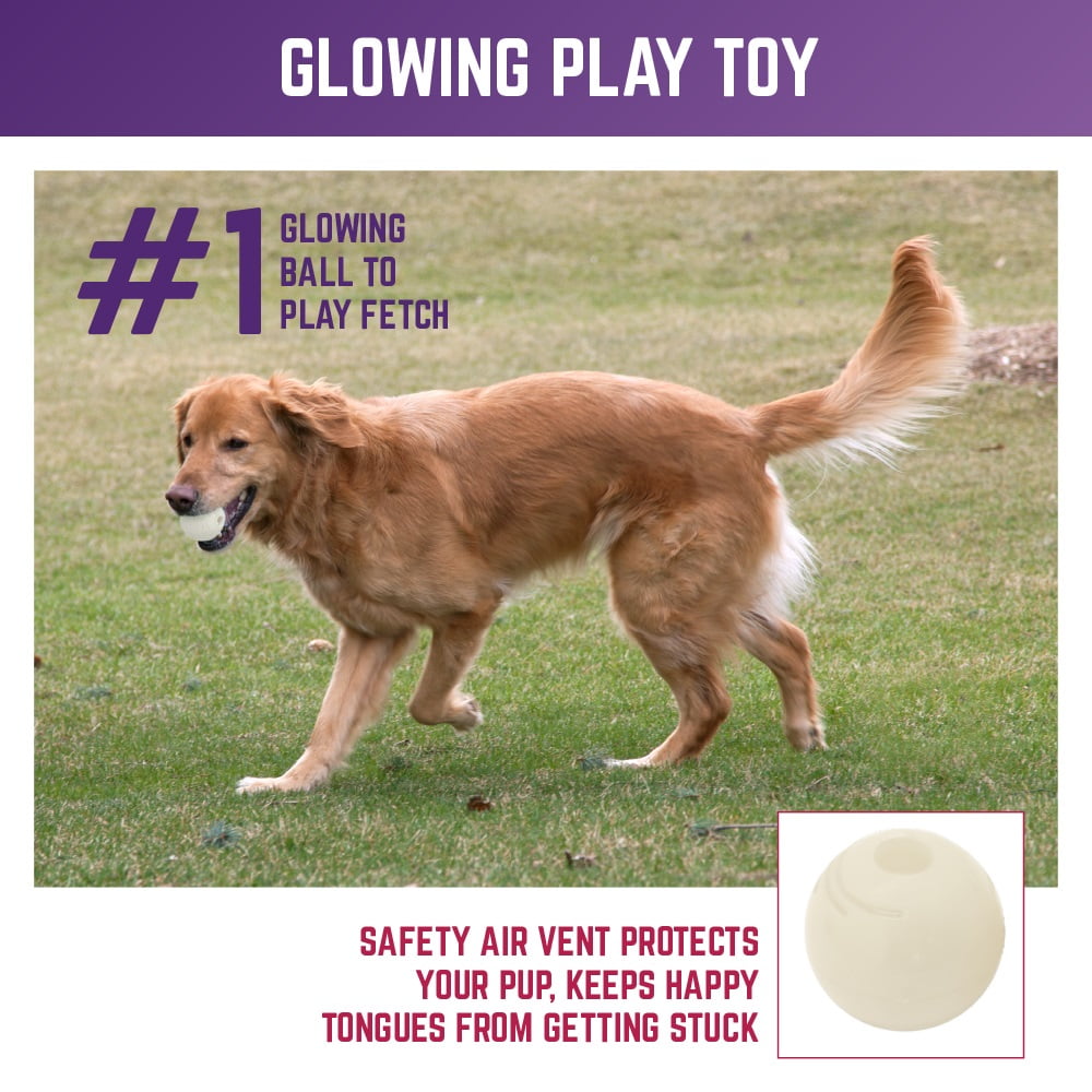 Chew King By Mammoth Glow Ball Combo for dog, 4 pack