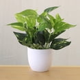 thumbnail image 4 of tredstone Artificial Potted Plant Leaf Simulation Leaves Home Office Desktop Greenery Decoration, Plant Type 18, 4 of 7