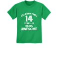 thumbnail image 1 of Tstars Boys Unisex 14 Birthday Gift Tshirt Birthday Gift for 14 Year Old Birthday Gift for Boys 14 Years of Being Awesome! Birthday Party B Day Youth Kids T Shirt, 1 of 6