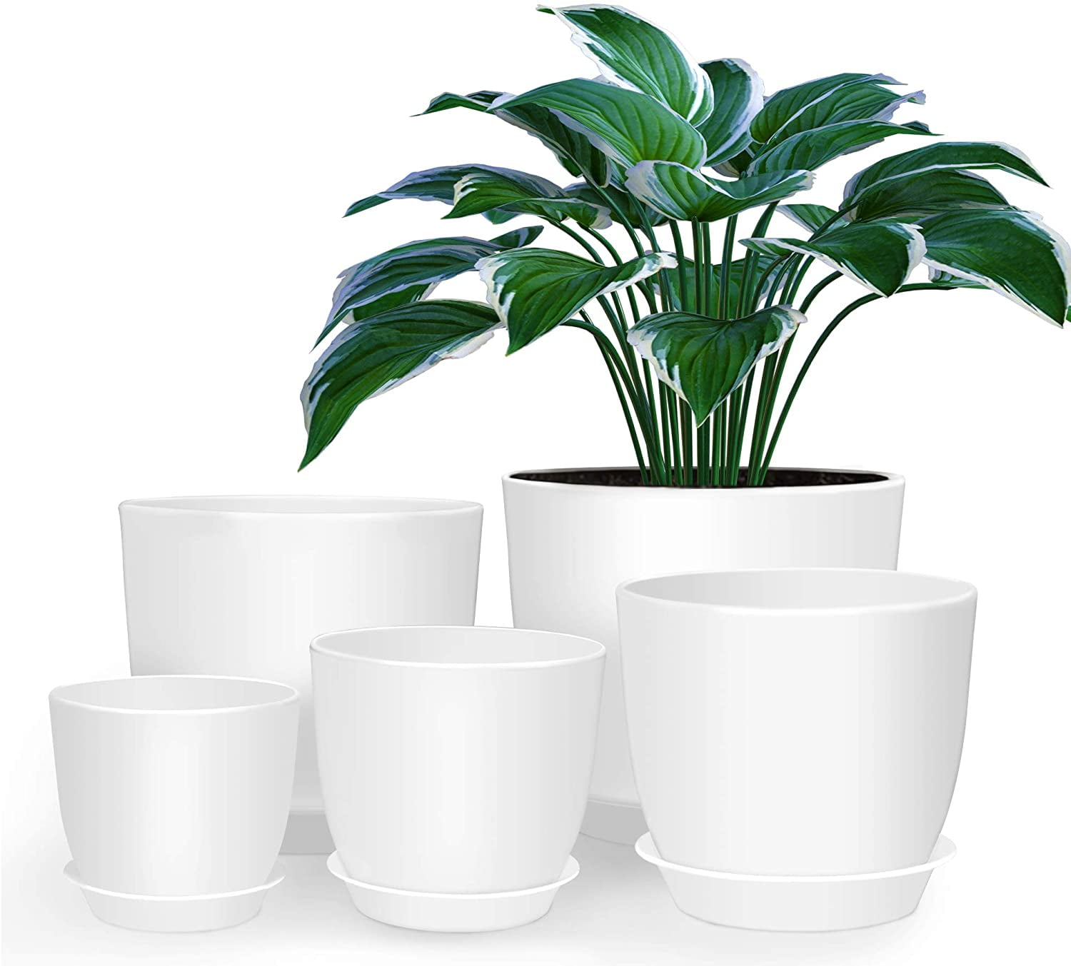 Self Watering Planter for Indoor Outdoor House Plants Modern Decorative Plastic Flower Pot Container with Drainage Hole and Saucer 6.5 Inch Plant Pot 6 Pack, Dark Gray 