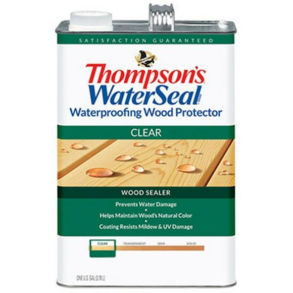 Thompsons Waterseal 21802 Protecteur de Bois de 1,2 Gallon- Clair