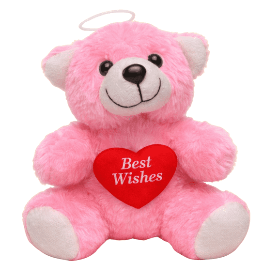 Pink Plush Teddy Bear with Heart Best Wishes Soft Stuffed Animal Gift Special Occasions