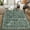 Green, variant on TROPOW Washable Rug,Vintage Floral Living Room Rug Non-Slip Large,for Bedroom Soft Rug Indoor Oriental Distressed Floor Carpet,for Nursery Dining Room Office Department