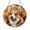 Acrylic 3.5 Inch, variant on Corgi Dog Glass Suncatcher Window Hanging, Cute Puppy Art Decor, Colorful Pet Lover Home Gift