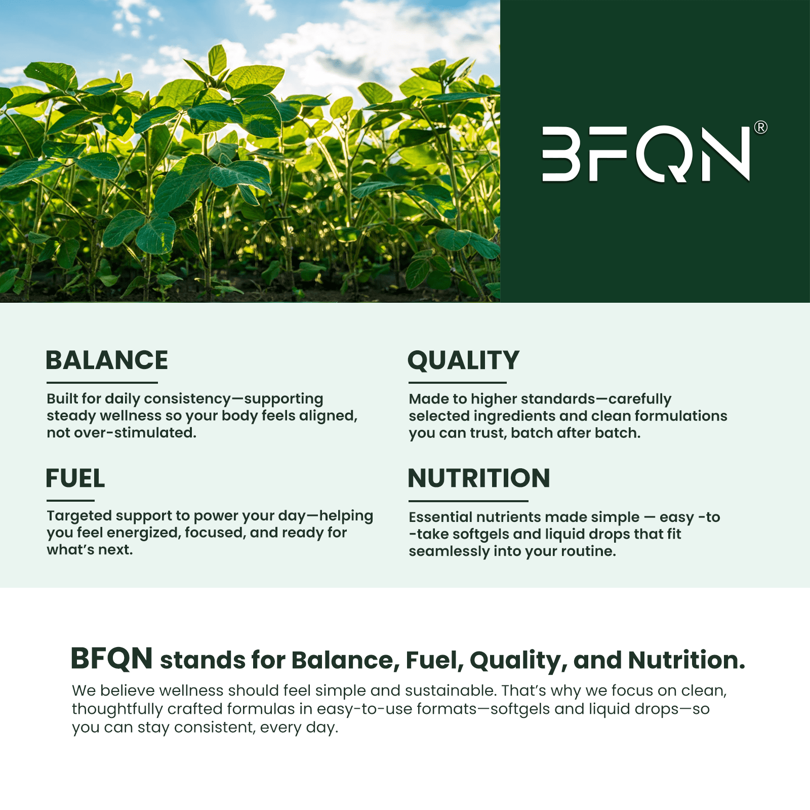 BFQN Astaxanthin 12mg & Lutein 40mg Softgels – 180 Softgels, 14-in-1 Eye Support Antioxidant Formula, Non-GMO, Gluten-Free