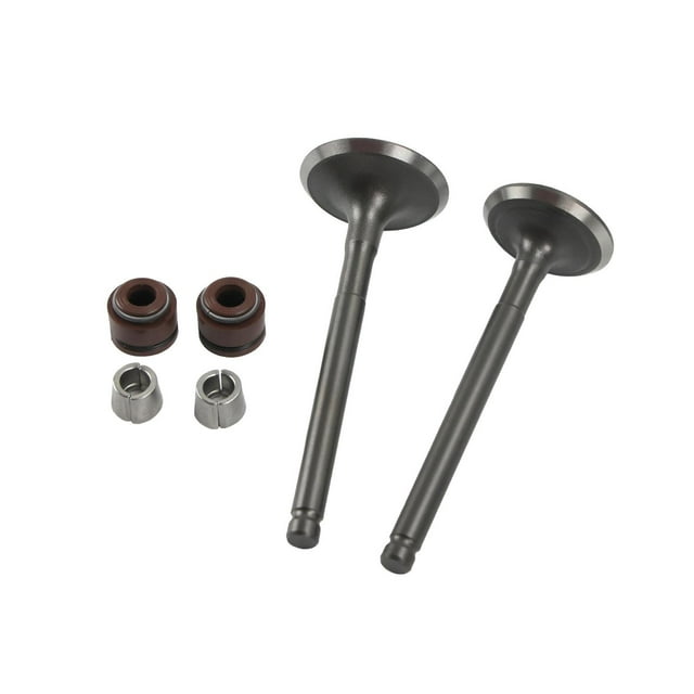 VALVULA ADMISION/ESCAPE SET ITALIKA DS 125 (17-18) (WSTD)