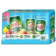 Canada Dry Ginger Ale Summer Variety Pack, 12 Fluid Ounce (36 Pack