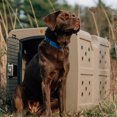 thumbnail image 4 of Dakota 283 G3 Large Framed Door Kennel w/Lock, Handle & Latching Door, 4 of 12
